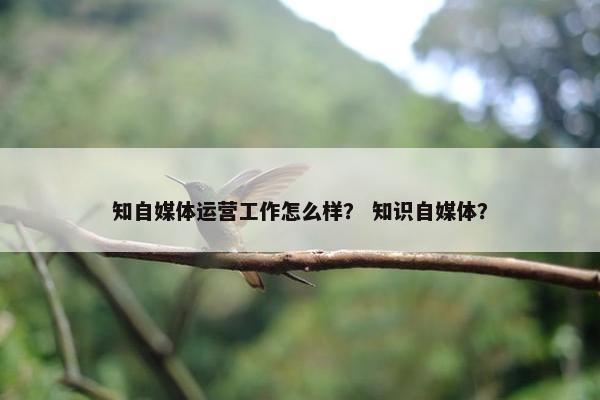 知自媒体运营工作怎么样？ 知识自媒体？
