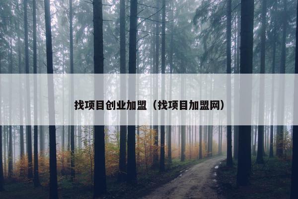找项目创业加盟（找项目加盟网）