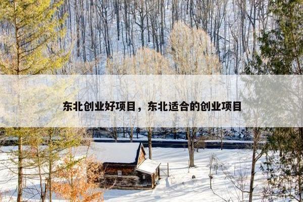 东北创业好项目，东北适合的创业项目