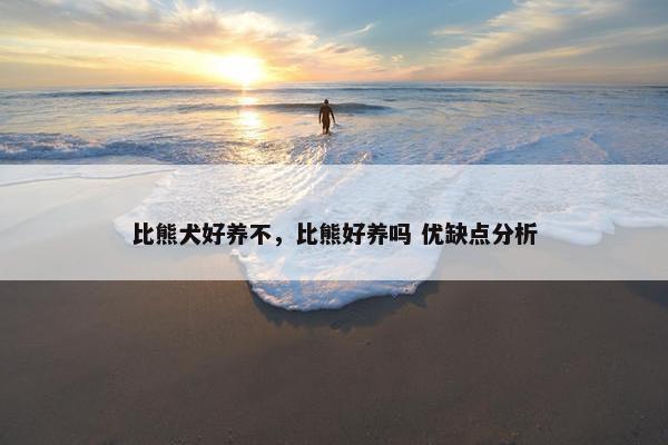 比熊犬好养不，比熊好养吗 优缺点分析