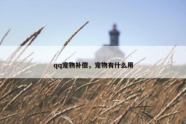 qq宠物补偿，宠物有什么用