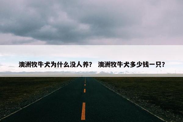 澳洲牧牛犬为什么没人养？ 澳洲牧牛犬多少钱一只？