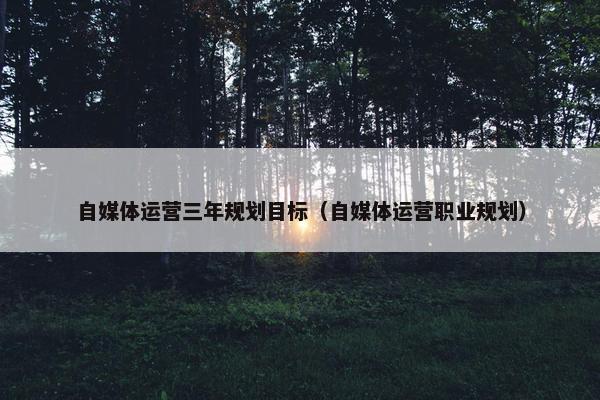 自媒体运营三年规划目标（自媒体运营职业规划）