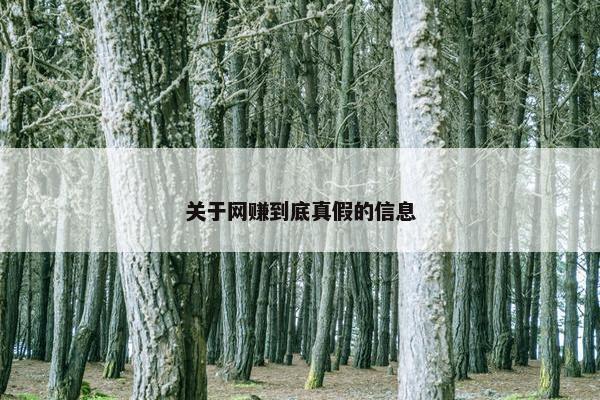 关于网赚到底真假的信息