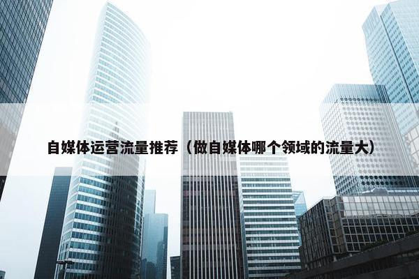 自媒体运营流量推荐（做自媒体哪个领域的流量大）