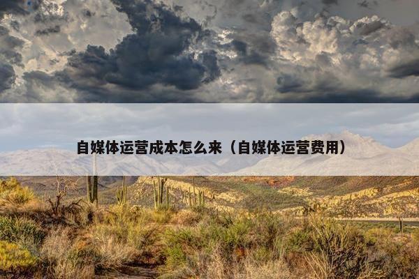 自媒体运营成本怎么来（自媒体运营费用）