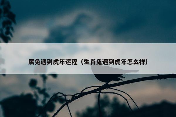 属兔遇到虎年运程（生肖兔遇到虎年怎么样）