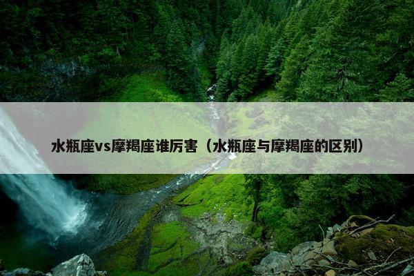水瓶座vs摩羯座谁厉害（水瓶座与摩羯座的区别）