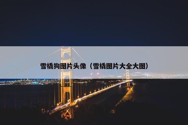 雪橇狗图片头像（雪橇图片大全大图）
