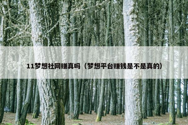 11梦想社网赚真吗（梦想平台赚钱是不是真的）