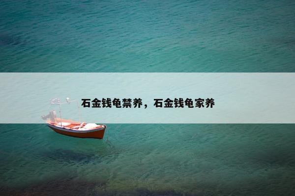石金钱龟禁养，石金钱龟家养