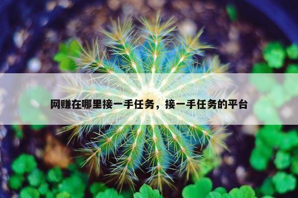 网赚在哪里接一手任务，接一手任务的平台