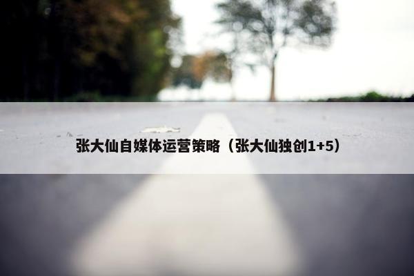 张大仙自媒体运营策略（张大仙独创1+5）