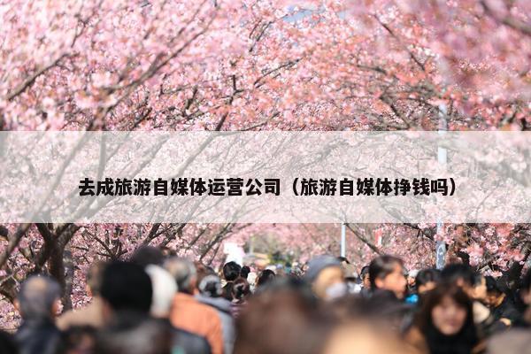 去成旅游自媒体运营公司（旅游自媒体挣钱吗）