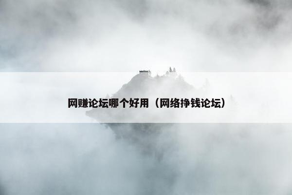 网赚论坛哪个好用（网络挣钱论坛）