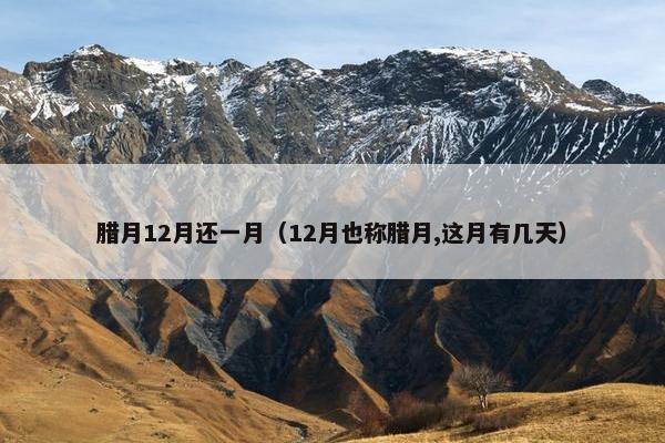 腊月12月还一月（12月也称腊月,这月有几天）