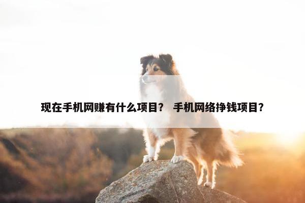 现在手机网赚有什么项目？ 手机网络挣钱项目？