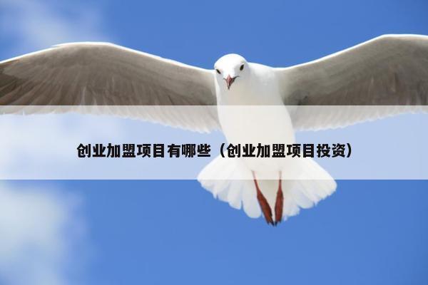 创业加盟项目有哪些（创业加盟项目投资）