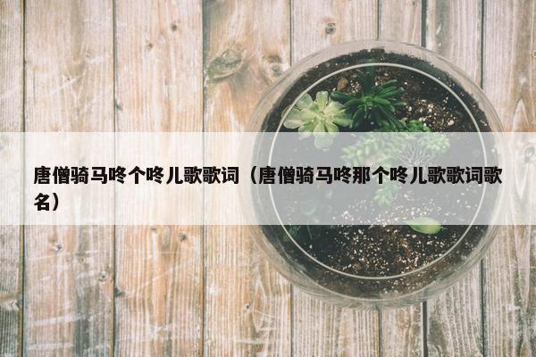 唐僧骑马咚个咚儿歌歌词（唐僧骑马咚那个咚儿歌歌词歌名）