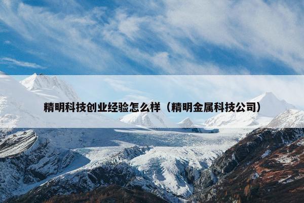 精明科技创业经验怎么样（精明金属科技公司）