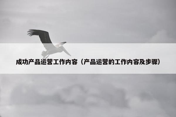 成功产品运营工作内容（产品运营的工作内容及步骤）