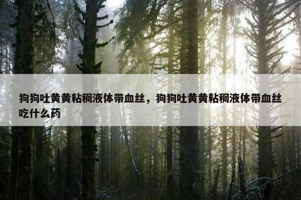 狗狗吐黄黄粘稠液体带血丝，狗狗吐黄黄粘稠液体带血丝吃什么药