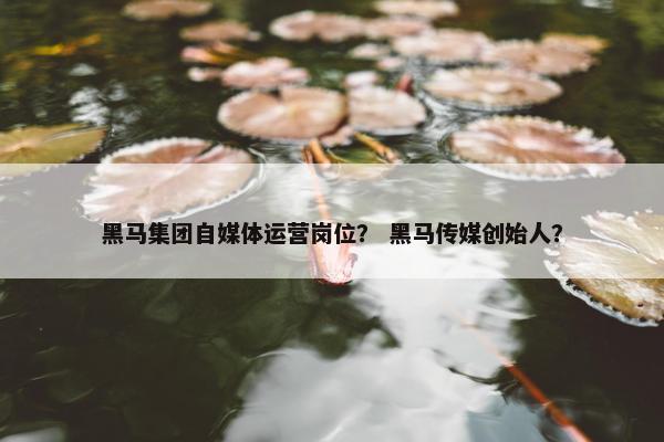 黑马集团自媒体运营岗位？ 黑马传媒创始人？