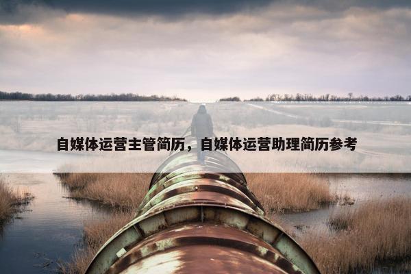 自媒体运营主管简历，自媒体运营助理简历参考