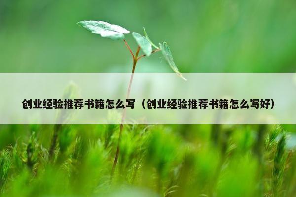 创业经验推荐书籍怎么写（创业经验推荐书籍怎么写好）