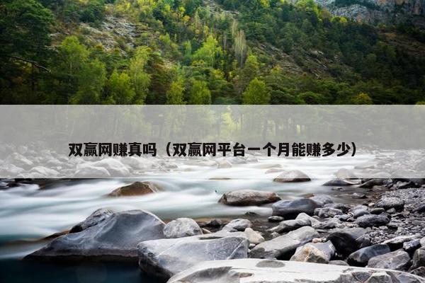 双赢网赚真吗（双赢网平台一个月能赚多少）