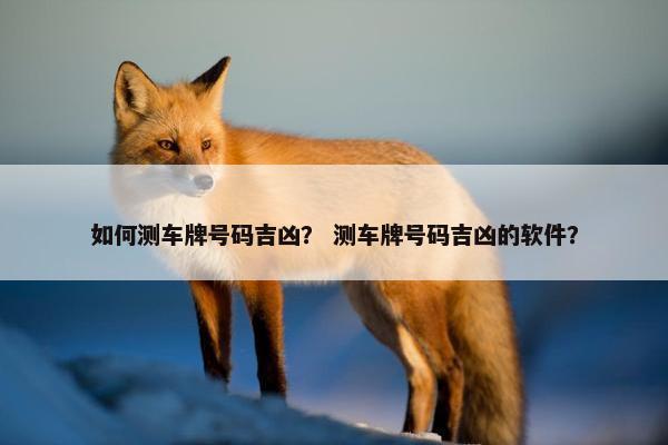 如何测车牌号码吉凶？ 测车牌号码吉凶的软件？