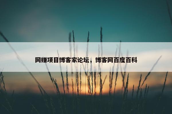 网赚项目博客家论坛，博客网百度百科