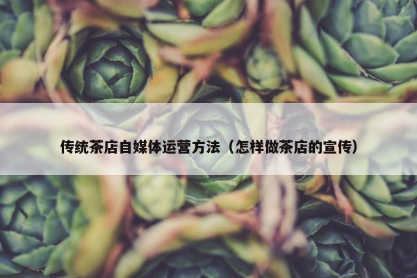 传统茶店自媒体运营方法（怎样做茶店的宣传）