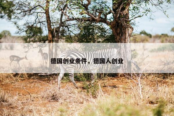 德国创业条件，德国人创业