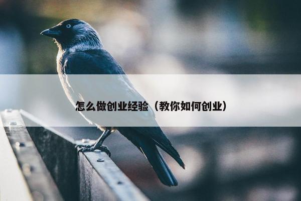 怎么做创业经验（教你如何创业）