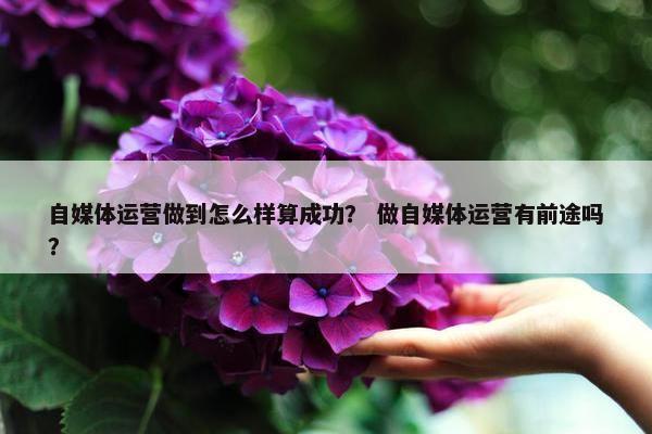 自媒体运营做到怎么样算成功？ 做自媒体运营有前途吗？