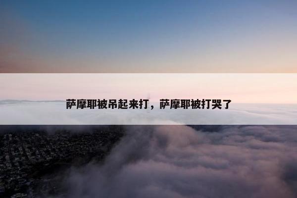 萨摩耶被吊起来打，萨摩耶被打哭了