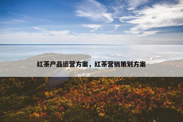 红茶产品运营方案，红茶营销策划方案