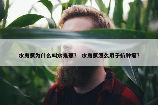 水鬼蕉为什么叫水鬼蕉？ 水鬼蕉怎么用于抗肿瘤？