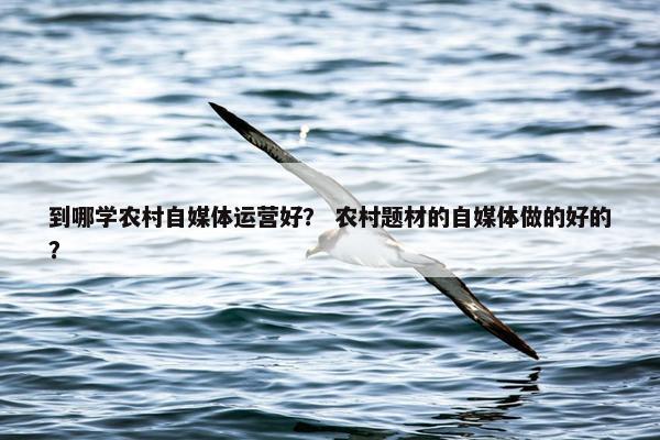 到哪学农村自媒体运营好？ 农村题材的自媒体做的好的？