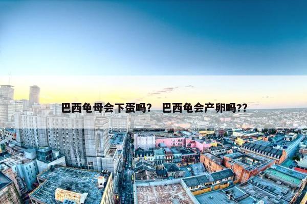 巴西龟母会下蛋吗？ 巴西龟会产卵吗?？