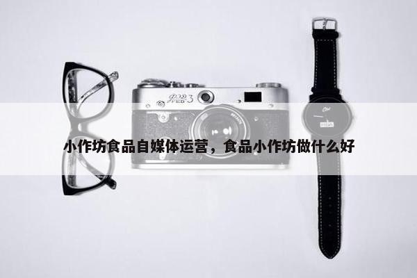 小作坊食品自媒体运营，食品小作坊做什么好