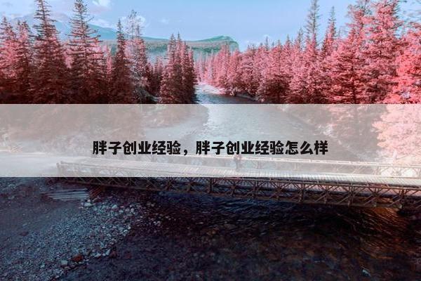 胖子创业经验，胖子创业经验怎么样