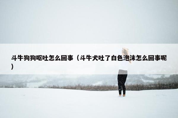 斗牛狗狗呕吐怎么回事（斗牛犬吐了白色泡沫怎么回事呢）