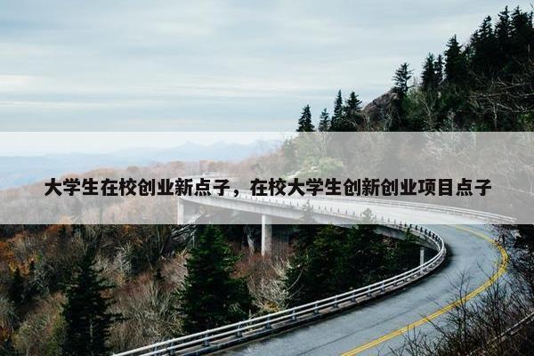 大学生在校创业新点子，在校大学生创新创业项目点子