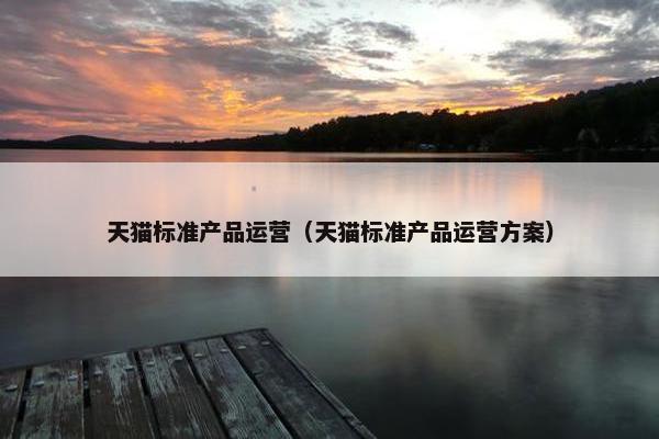 天猫标准产品运营（天猫标准产品运营方案）