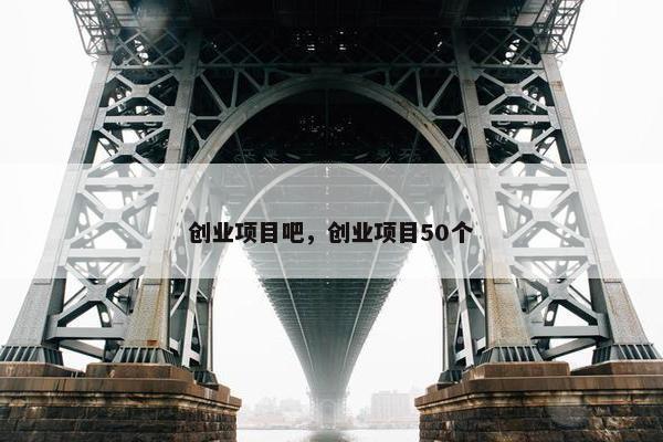 创业项目吧，创业项目50个