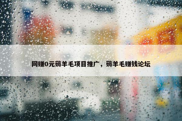 网赚0元薅羊毛项目推广，薅羊毛赚钱论坛