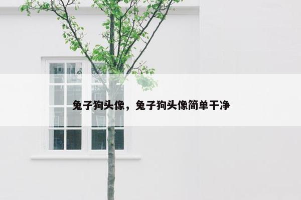 兔子狗头像，兔子狗头像简单干净