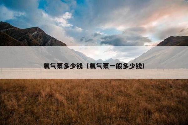 氧气泵多少钱（氧气泵一般多少钱）